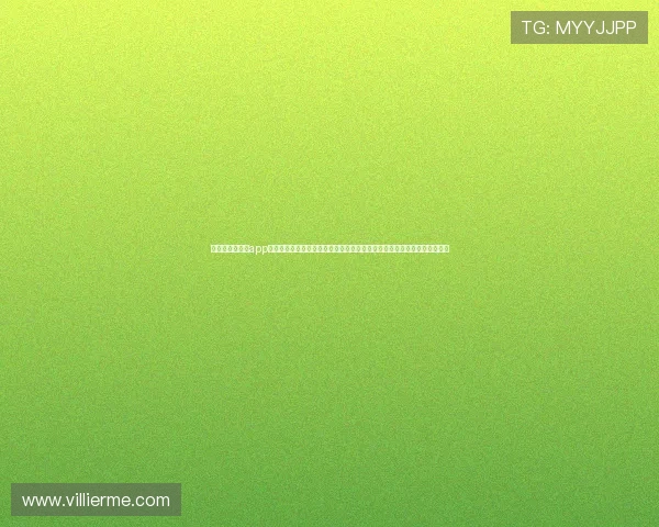 威斯汀网上娱乐app为用户提供权威的世界杯球队分析与赛前预测助力足球迷精准把握赛事信息